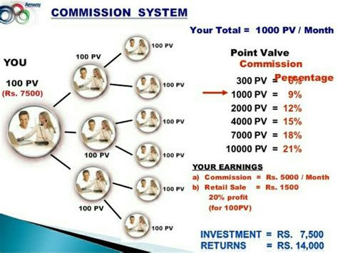 marketing plan amway